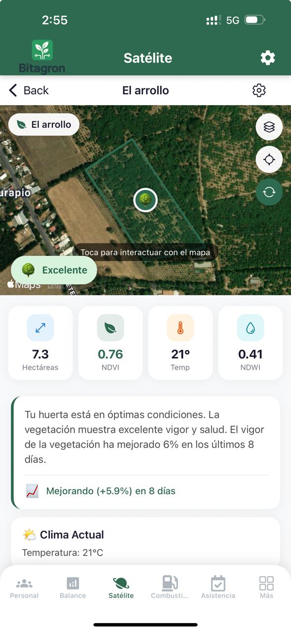 Mapa NDVI
