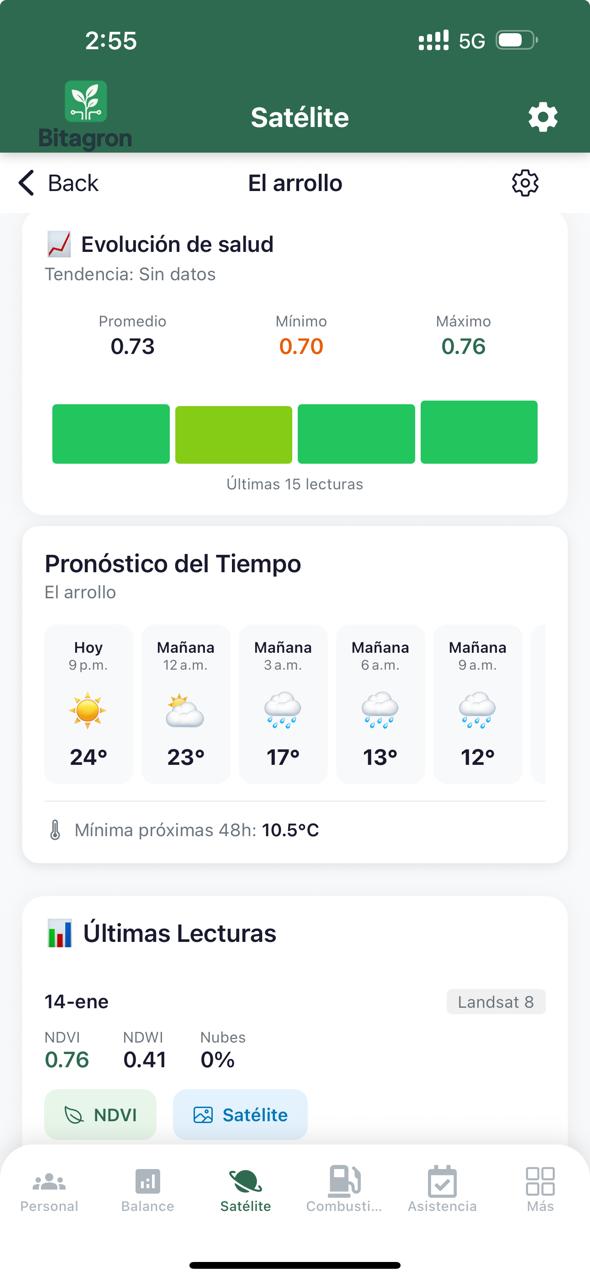 Pronóstico